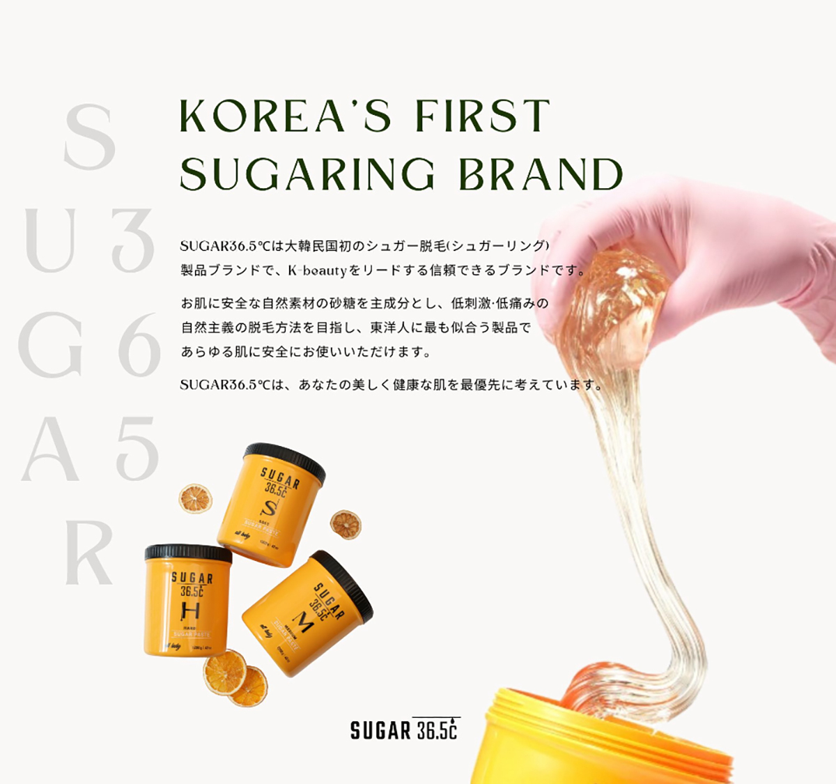 シュガーリング36.5